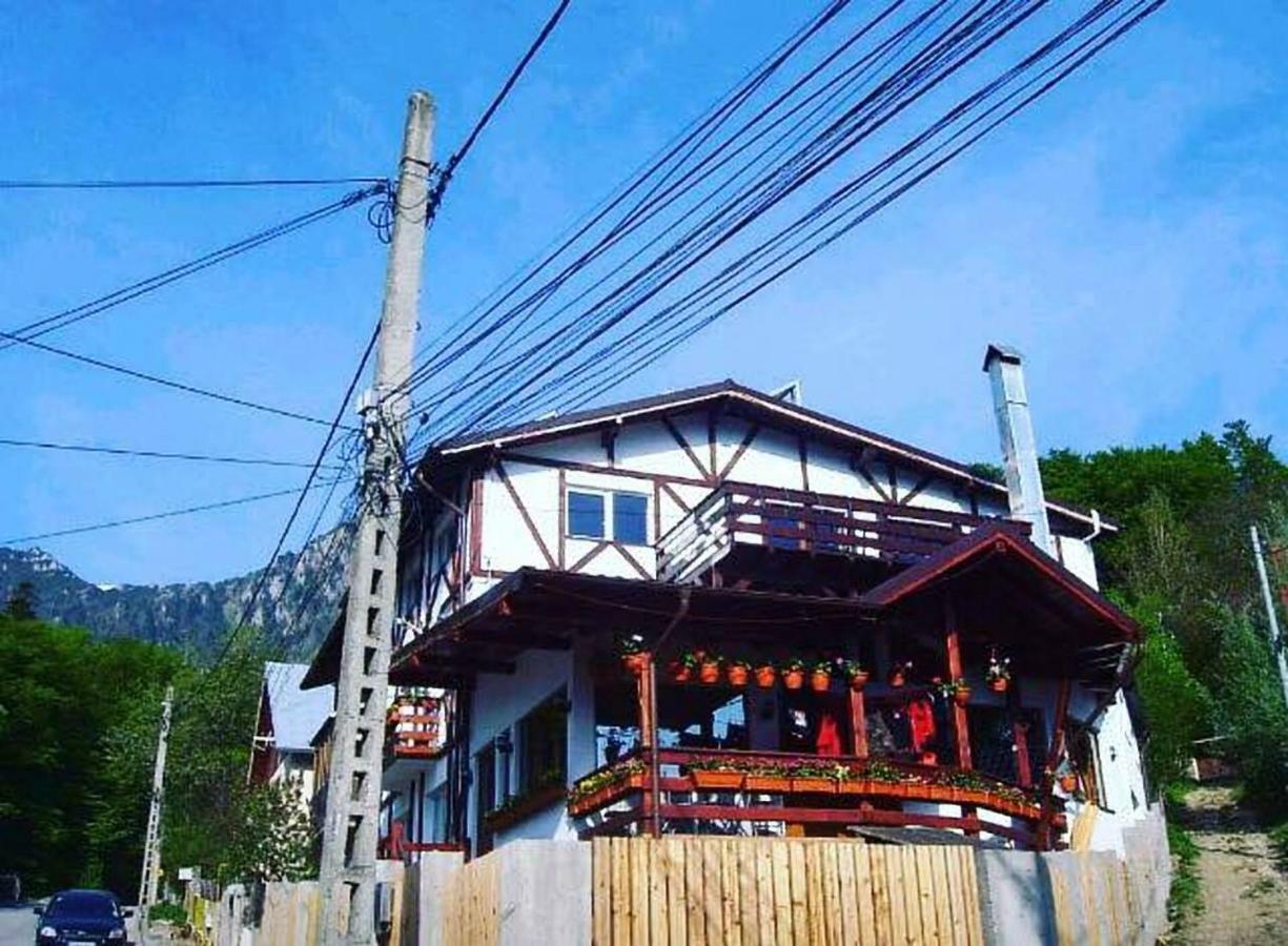 Amurguluibnb 3 Rooms Apartment With Mountain View Busteni Exterior photo